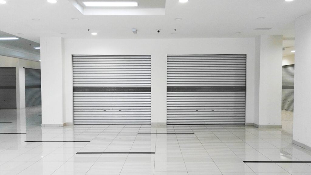 garage door opener service