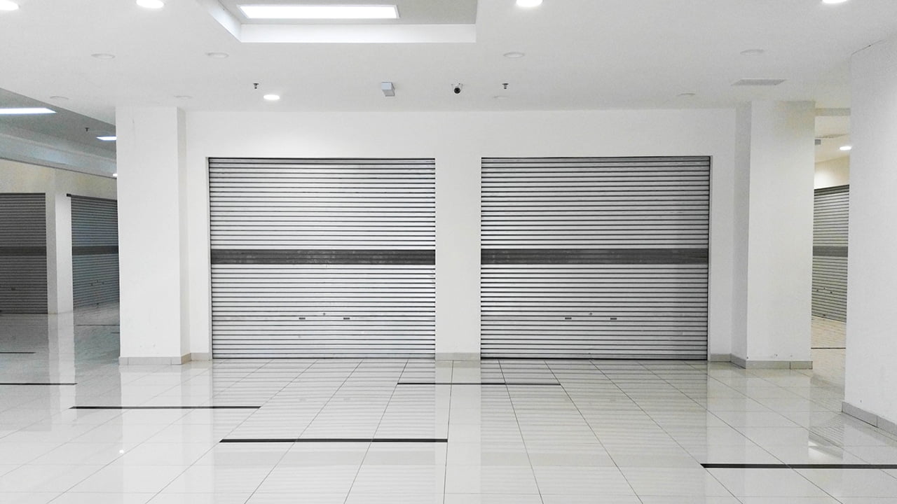 garage door opener service